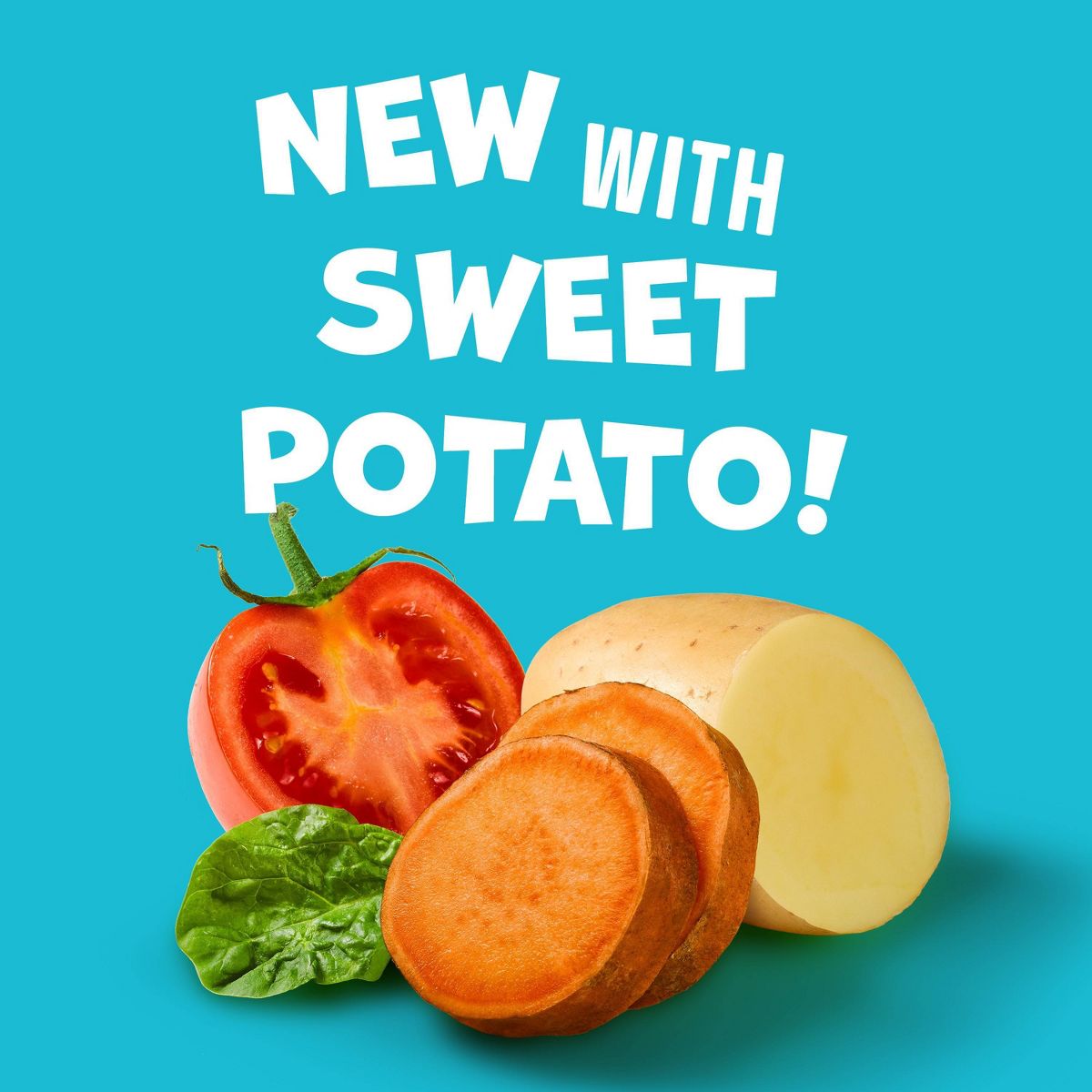 Sensible Portions Garden Veggie Straws Sabor Ranch Picante Tamaño Familiar con Aceite de Aguacate - 10 oz - Imagen 6