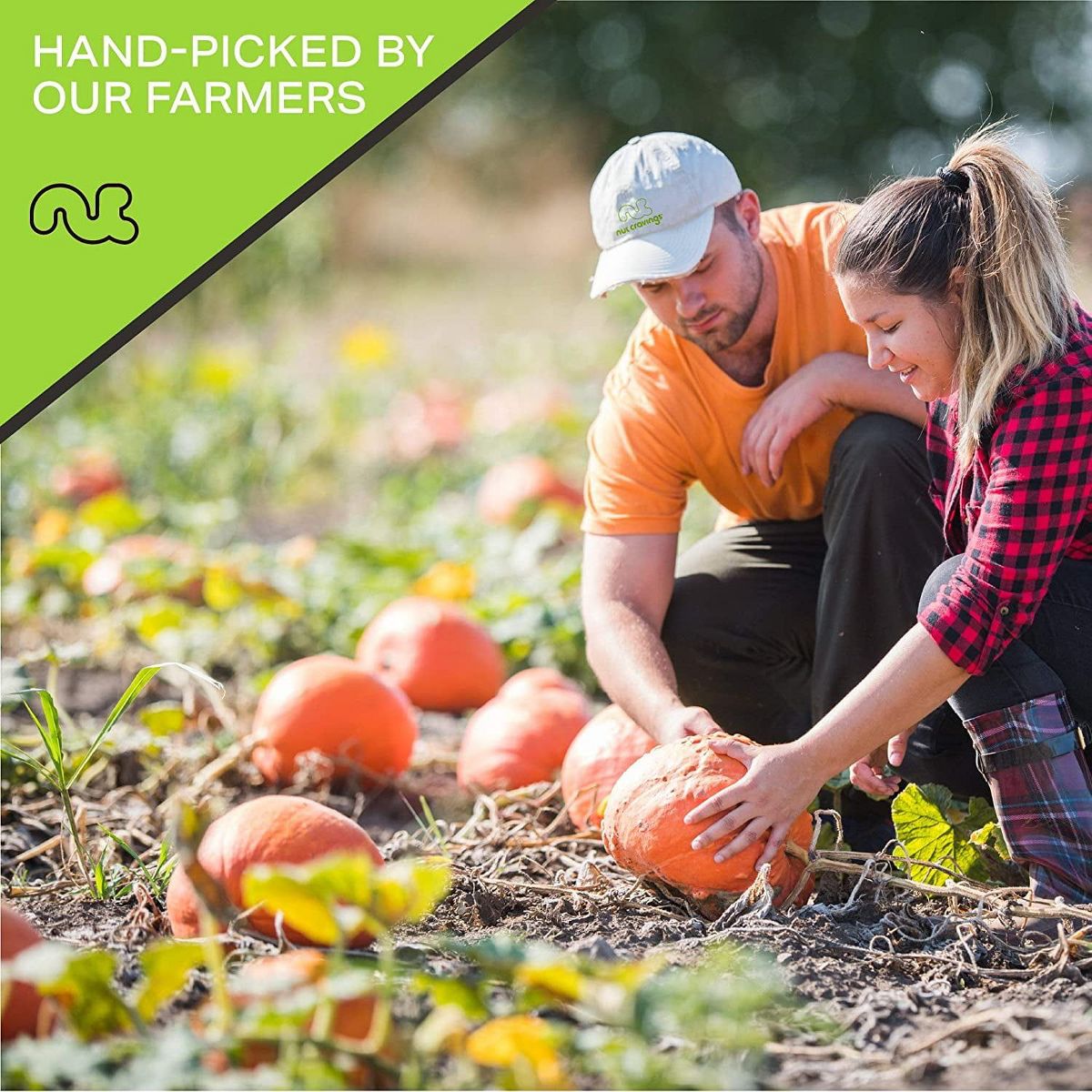 Pepitas de Calabaza Tostadas y Saladas, sin Cáscara por Nut Cravings - Imagen 8