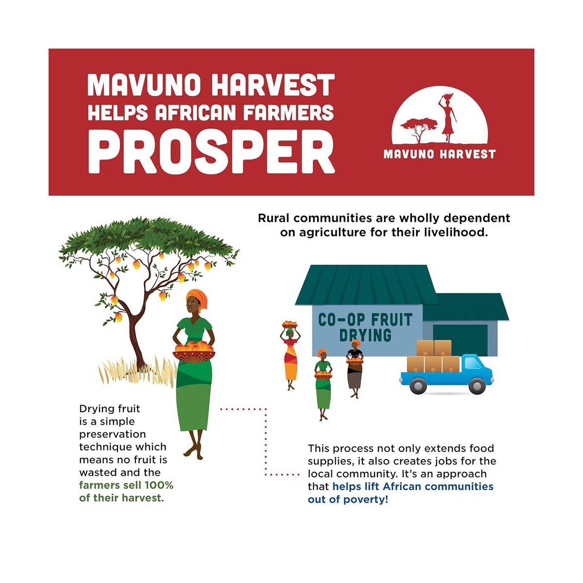 Mavuno Harvest Papaya Seca Orgánica para Snack, Merienda Vegana y Sin Gluten, Saludable sin Conservantes ni Azúcares Añadidos - Imagen 7