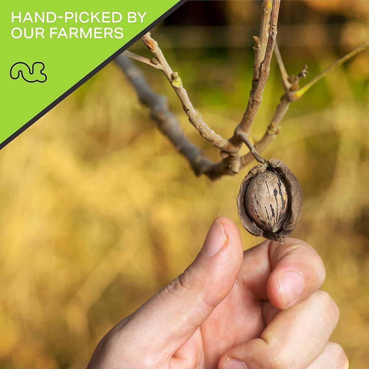 Nueces Pecanas Crudas en Mitades y Pedazos, Sin Sal, Sin Cáscara por Nut Cravings - Imagen 9