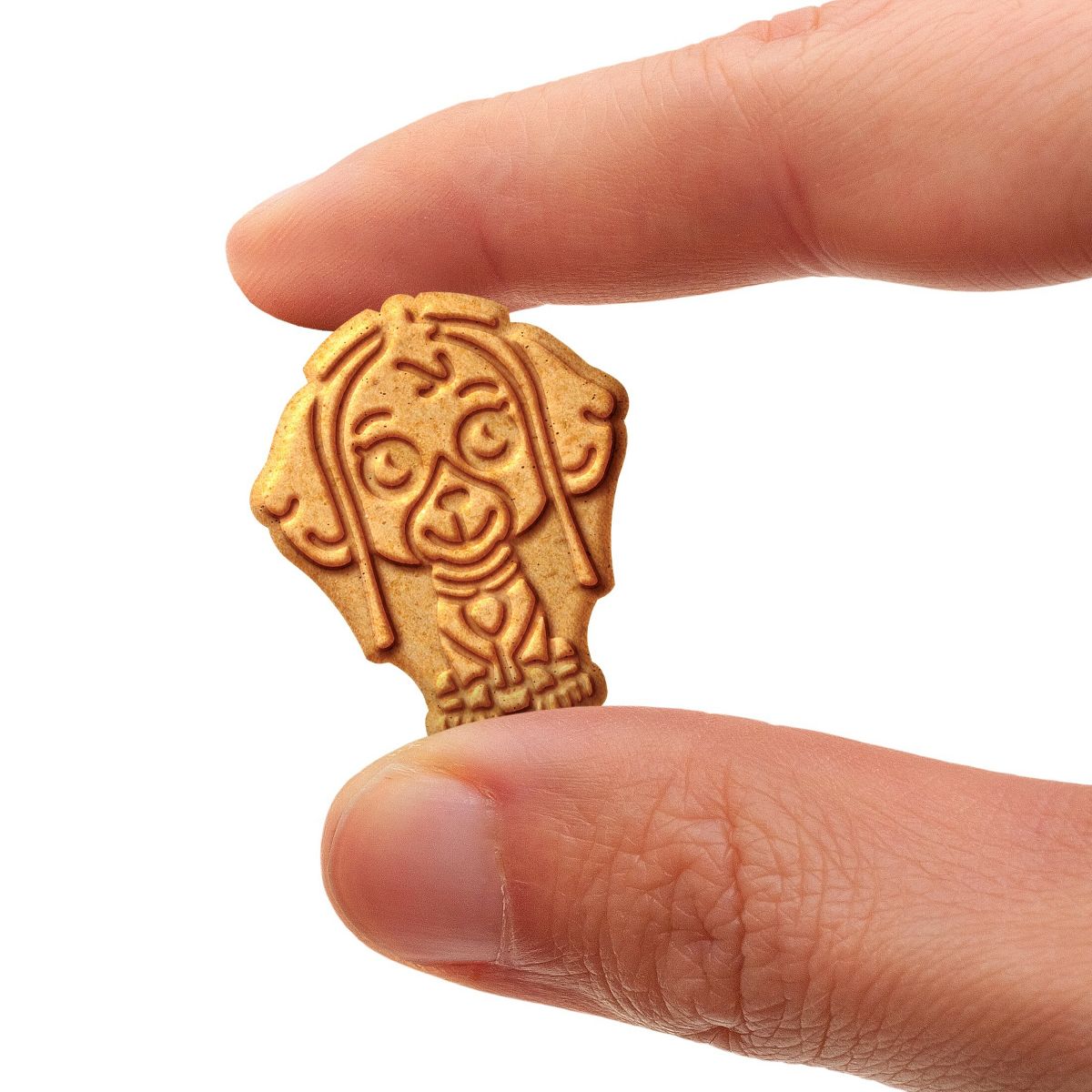 Galletas Graham Paw Patrol en Paquete de Snacks - 12.7 oz / 12 ct - Imagen 5