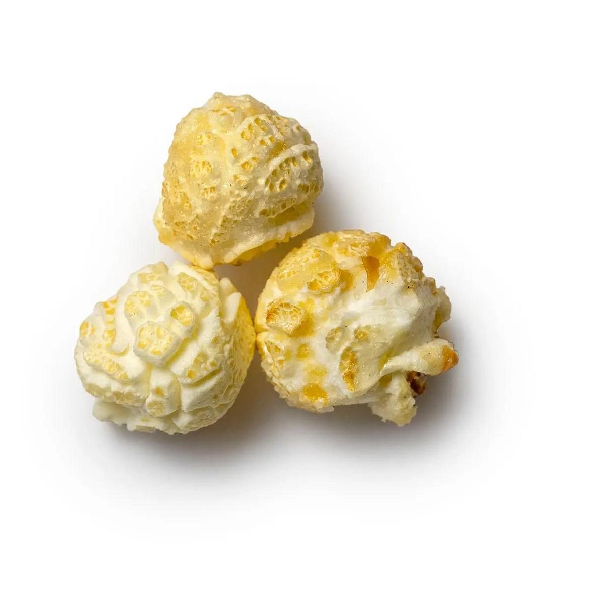 Lata Santa’s Sleigh - Imagen 8