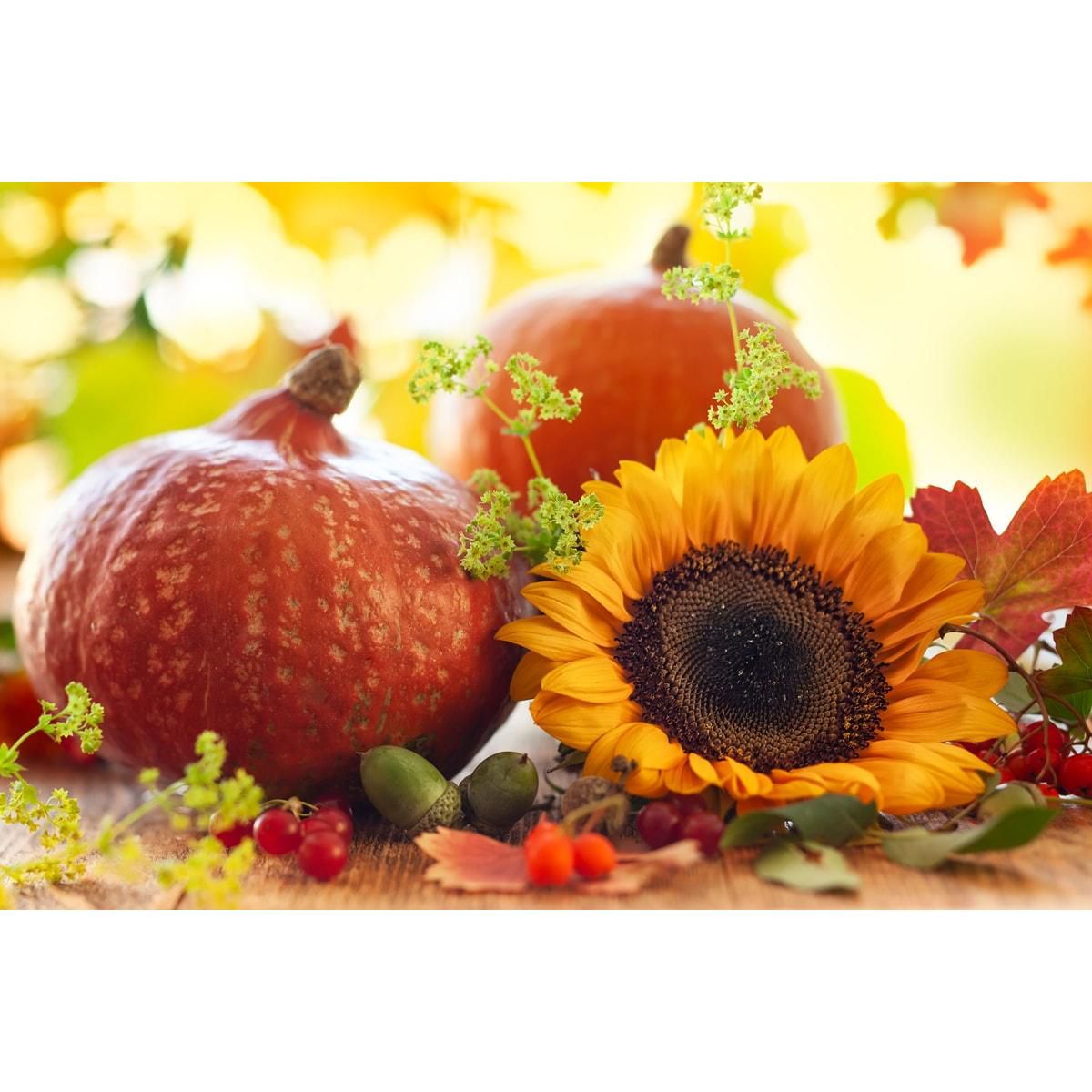 Mezcla de Semillas Germinadas Orgánicas - Mezcla de Botana Cruda y No Transgénica Contiene Semillas de Calabaza y Girasol Germinadas. Vegana, Kosher - Imagen 6