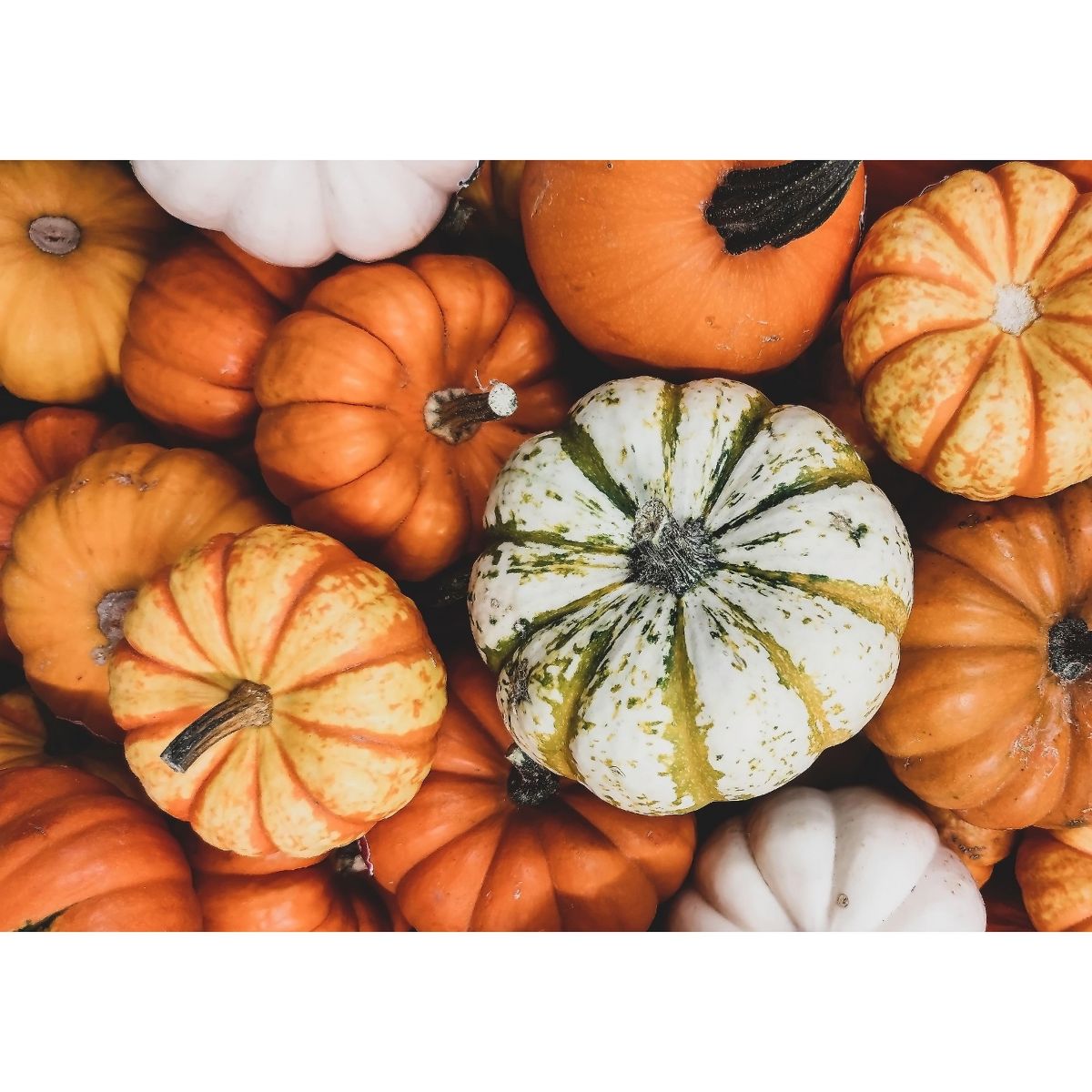 Pepitas / Semillas de Calabaza - de Food To Live - Imagen 10