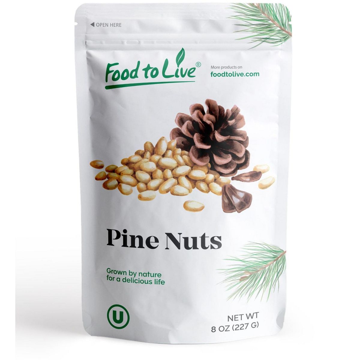 Piñones - Pignolias, a granel, Kosher, crudos, sin sal - Imagen 9