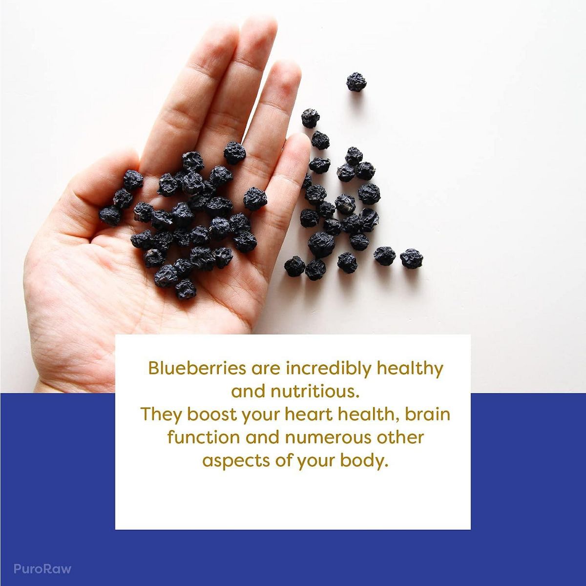 Arándanos Azules Secos Puroraw, 2 lb – Sin Endulzantes, Sin Azúcar Añadida, Totalmente Naturales, No Transgénicos, Sin Gluten, Veganos, Fruta Seca Entera en Bolsa Re-sellable - Imagen 5