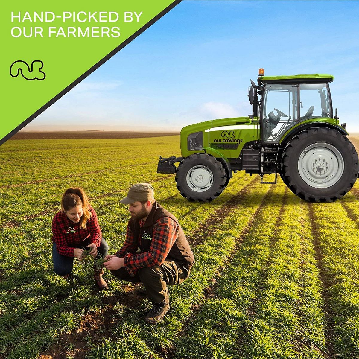 Nuez de Brasil Tostada y Salada, Entera por Nut Cravings - Imagen 8