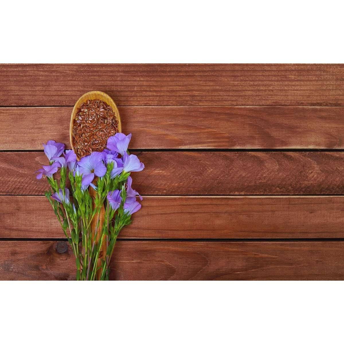 Semillas de Lino Marrón Orgánico - por Food To Live - Imagen 4