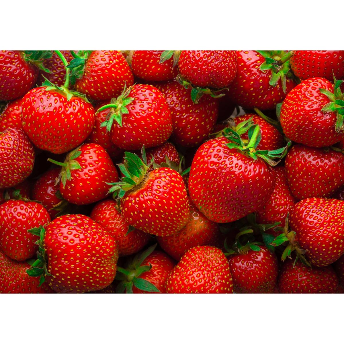 Polvo de Fresa Orgánico - por Food To Live - Imagen 9