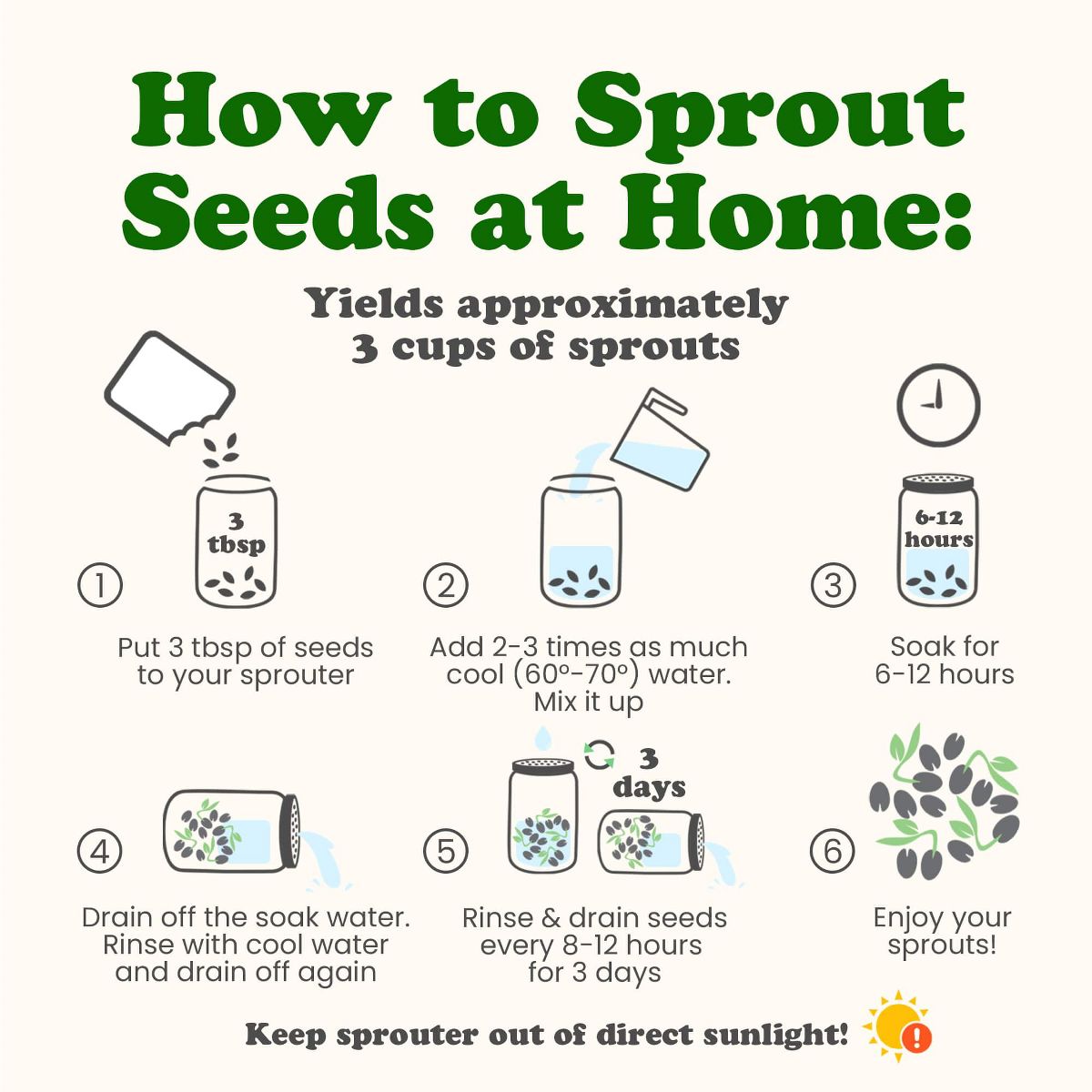 Mezcla Antioxidante de Semillas Germinadas - por Food To Live - Imagen 8