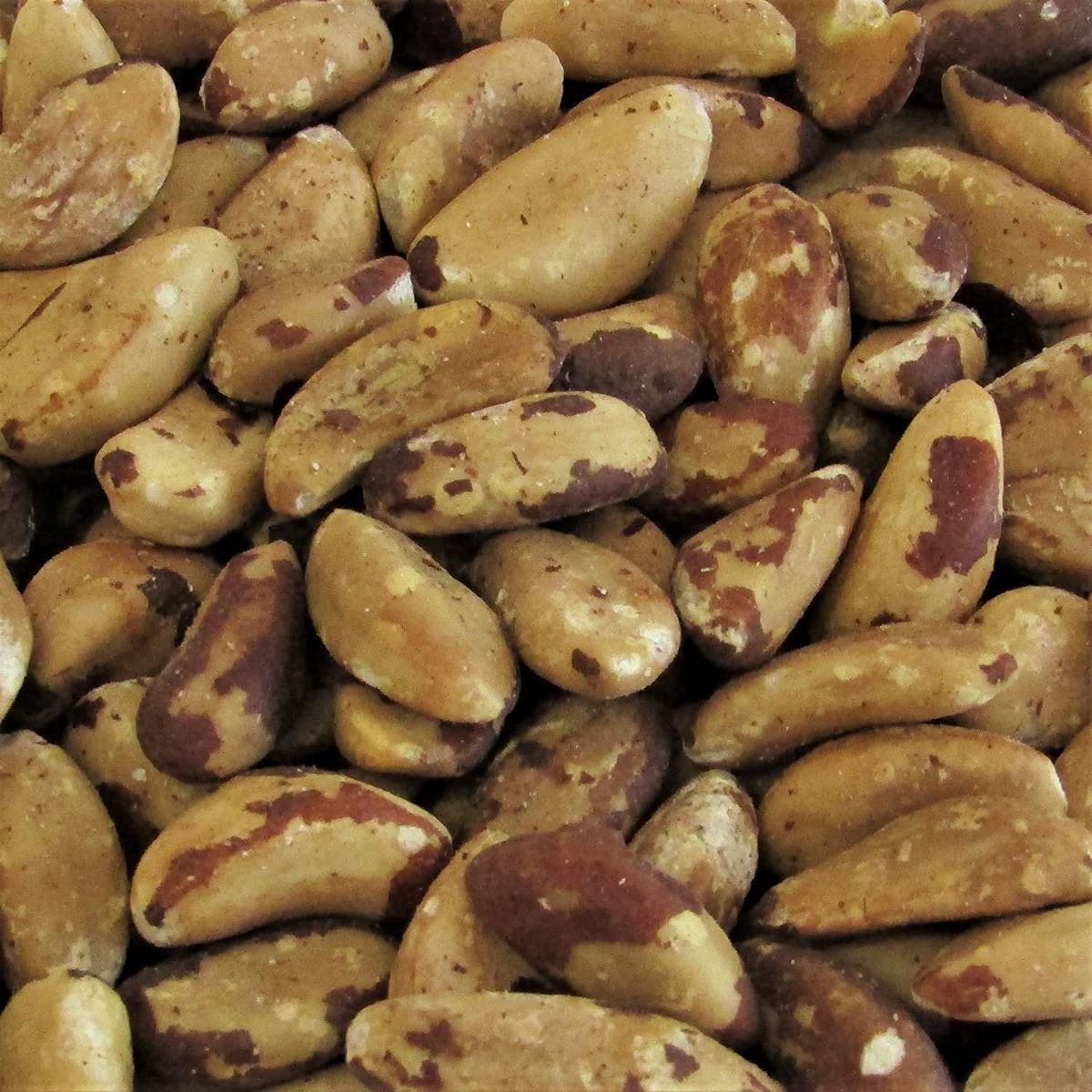 Nuez de Brasil Tostada Sin Sal Gourmet por Its Delish - Imagen 3