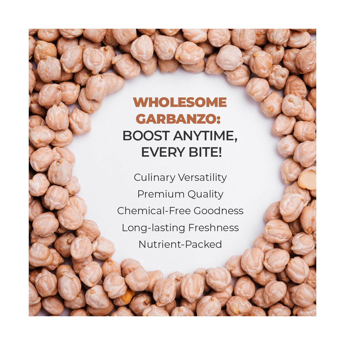 Garbanzos Blancos Enteros PRIDE OF INDIA - Imagen 5